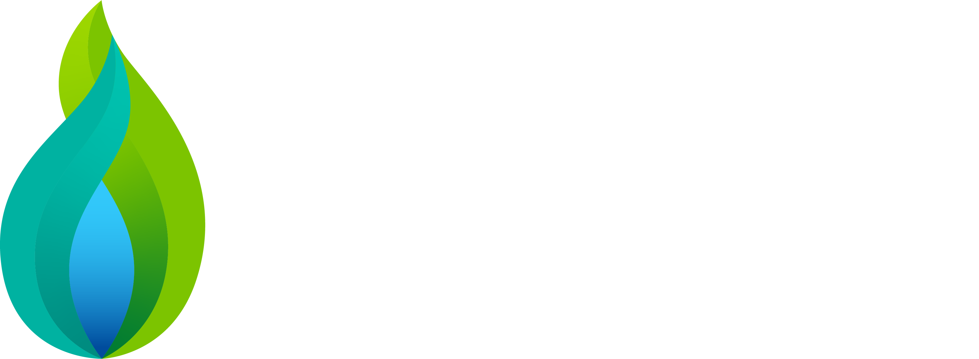 ng-logo